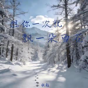 想你一次就飘一朵雪花