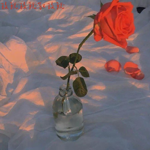 玫瑰玫瑰红玫瑰（Prod.NOOPE）