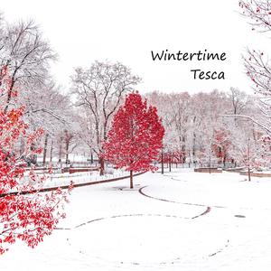 Wintertime (Christmas Time)