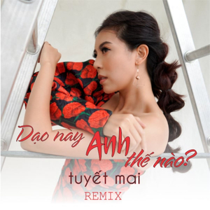 Dạo Này Anh Thế Nào… (Remix)