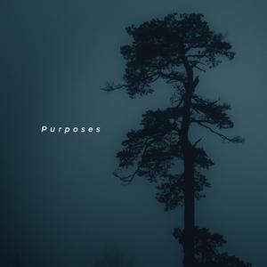 Purposes
