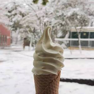 粗制滥造(Prod.費奈爾蘭德)