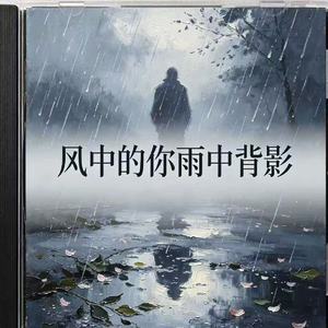 风中的你雨中背影（别在深夜一人崩溃）