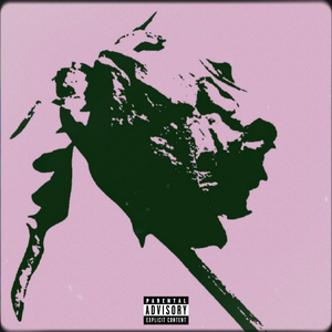 New Shxt