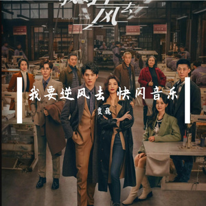 电视连续剧《我要逆风去》29集快闪音乐