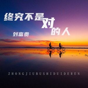 终究不是对的人