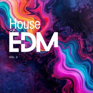 Midnight Horizon — Soft EDM