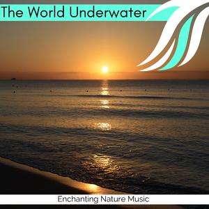 Get Up Ready for Carolina Beach