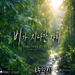 여름 비가 지나간 자리