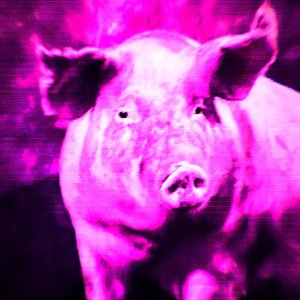 谷風天音.wav
