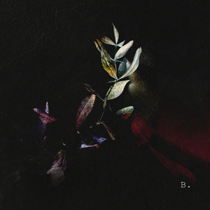 Falling From The Sky