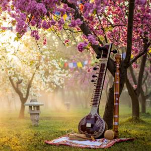 The Soft Path of Falling Flowers