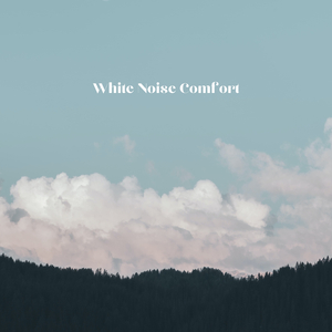 White Noise Transformation