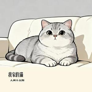 我家的猫