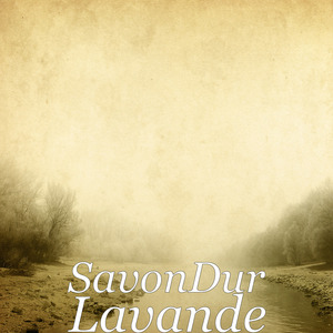 Lavande