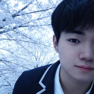 哈基米南北绿豆