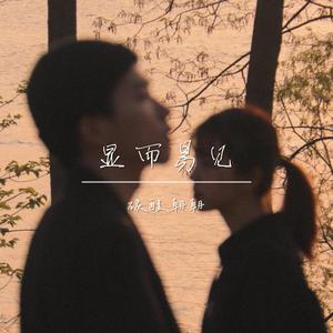 显而易见（翻自 于浩y）