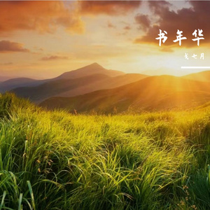 书年华