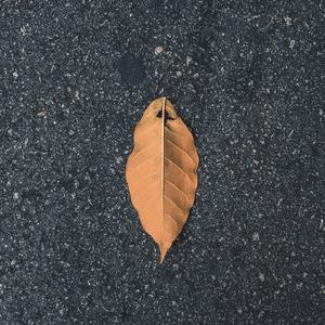 穆桂英招亲 (第一场)