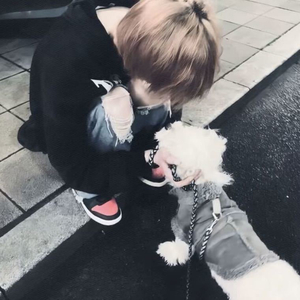 高级旋律VoL.1（热播）