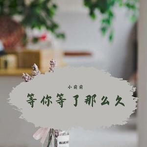 等你等了那么久