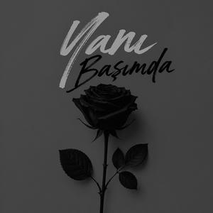 Yanı Başımda