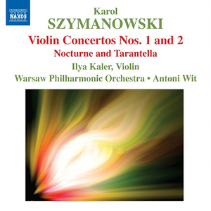 Violin Concerto No. 1, Op. 35:Tempo comodo - Andantino -