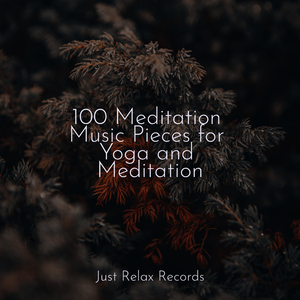 Joyful Blooms Abound