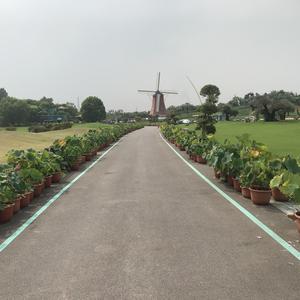 绪 （PROD.heavenboi）