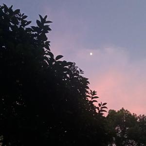 中chill（Prod.Para）