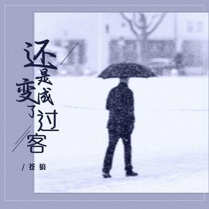 还是变成了过客