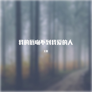 我的唇吻不到我爱的人