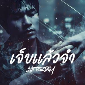 เจ็บแล้วจำ