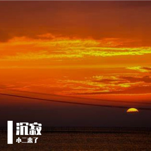 月隐琴
