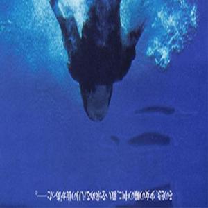 Ocean Blue