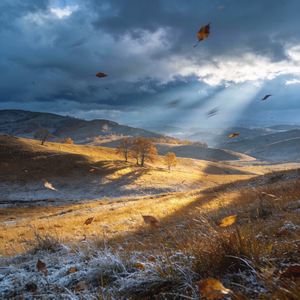 染上你的性格迷失自己