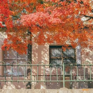 爱是无言(Remastered)