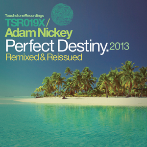 Perfect Destiny (Alexey Selin Remix)