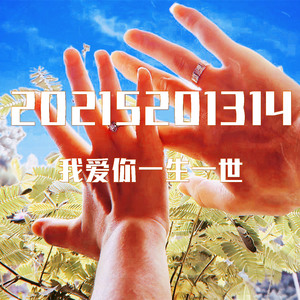 20215201314 (我爱你一生一世)
