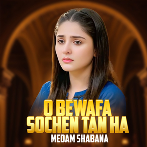O Bewafa Sochen Tan Ha