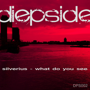 What Do You See (Original Mix)