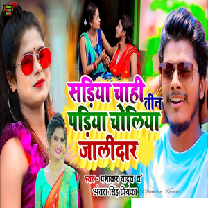 Sadiya Chahi Tin Padiya Choliya Jalidar
