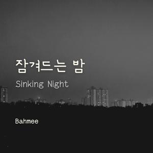 잠겨드는 밤 (Sinking Night)