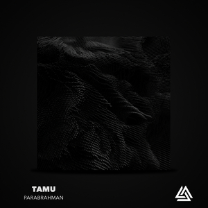 Sat Chit (Original Mix)
