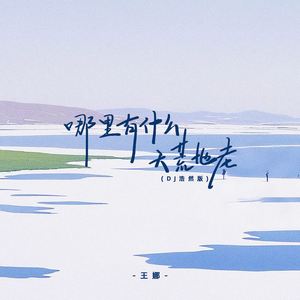 哪里有什么天荒地老 (DJ浩然版)