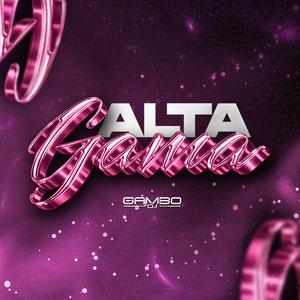 ALTA GAMA (AFTERMIX)