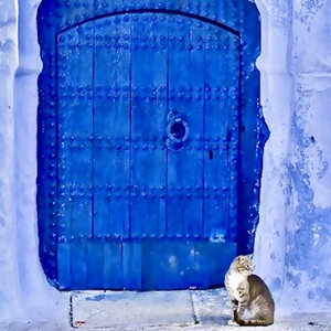 The Plum Blossom (Remastered)