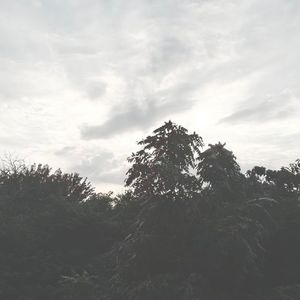 过年