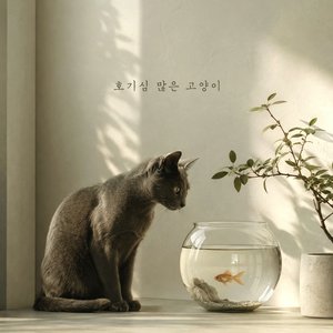 호기심 많은 고양이