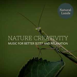 Wake to Soothing Music at Dawn